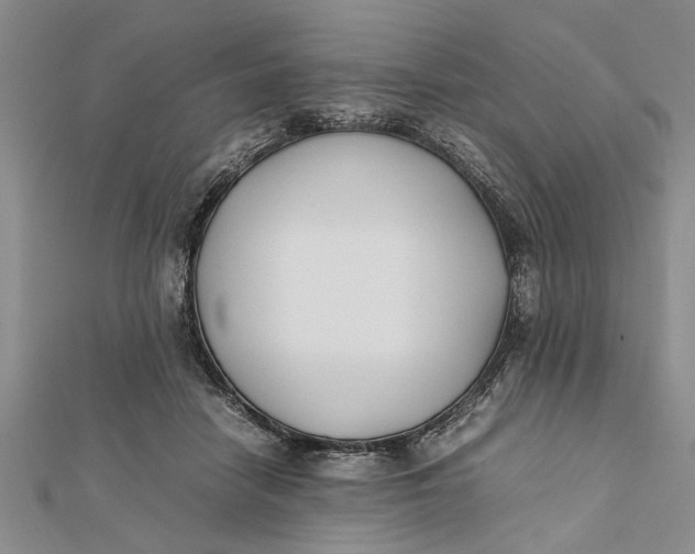 X0000112170458200908281343