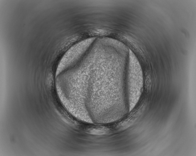 X0000112170459200908281343