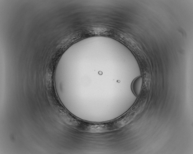 X0000112170461200908281343