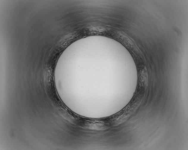 X0000112170463200908281343