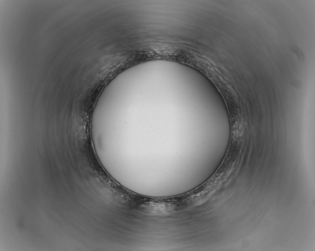 X0000112170464200908281343