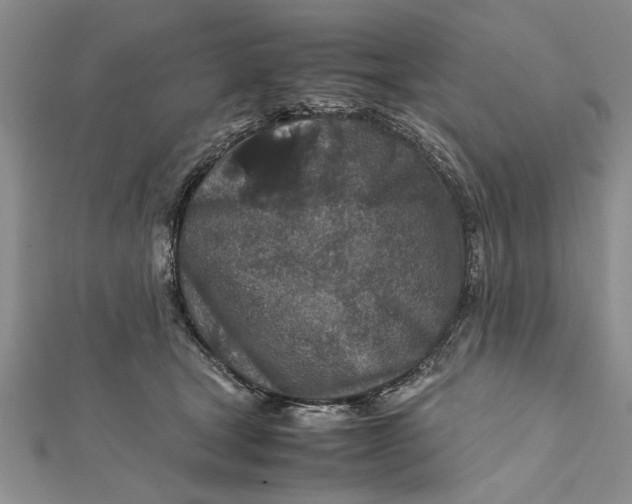 X0000112170465200908281343