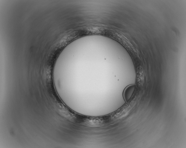 X0000112170466200908281343