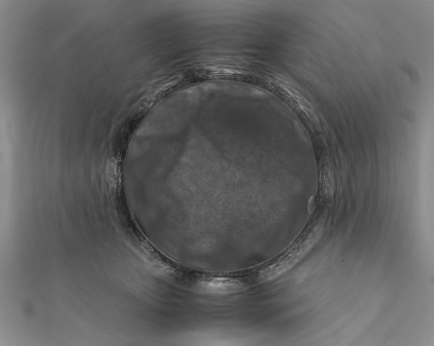 X0000112170467200908281343