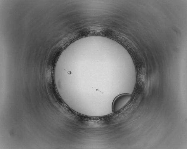 X0000112170468200908281343