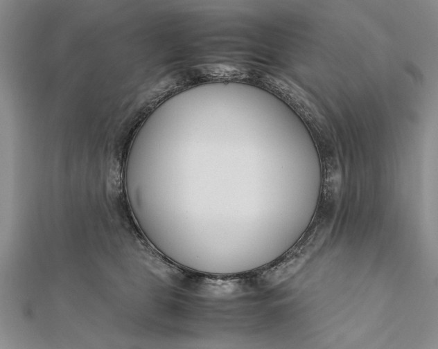 X0000112170469200908281343