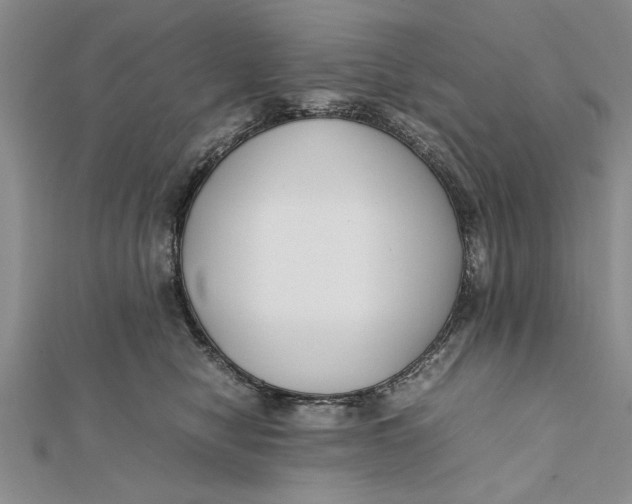 X0000112170470200908281343