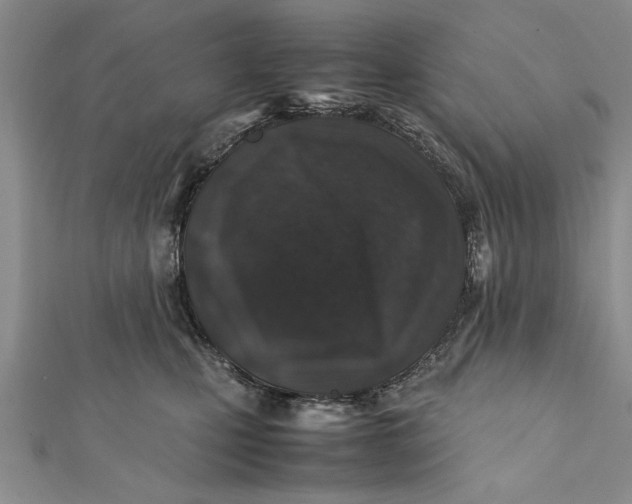 X0000112170471200908281343