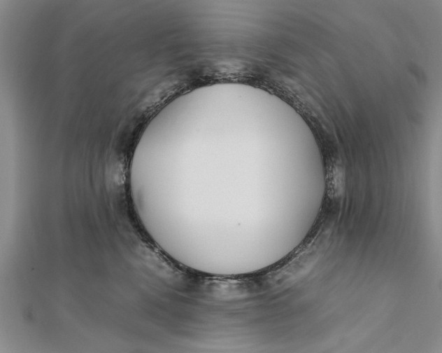 X0000112170472200908281343