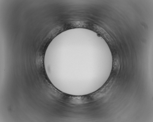 X0000112170473200908281343