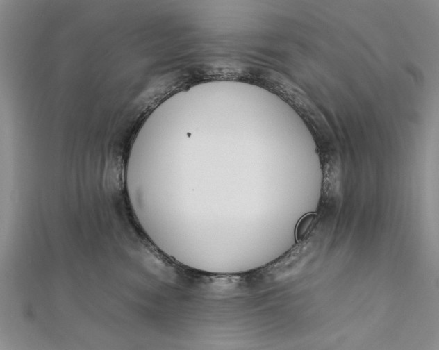 X0000112170474200908281343