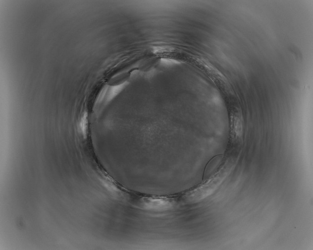 X0000112170475200908281343