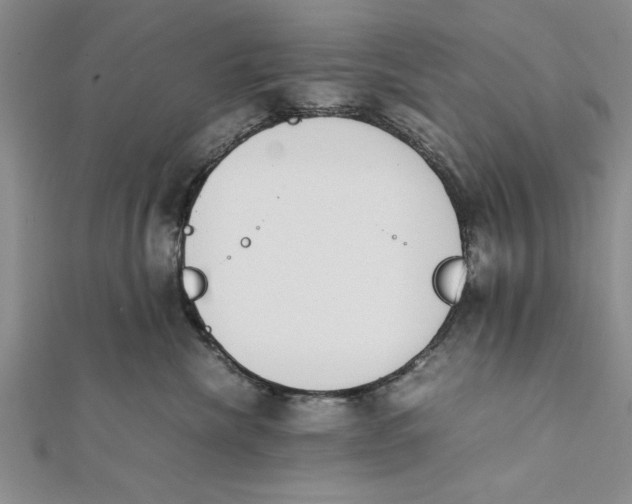 X0000112170476200908281343