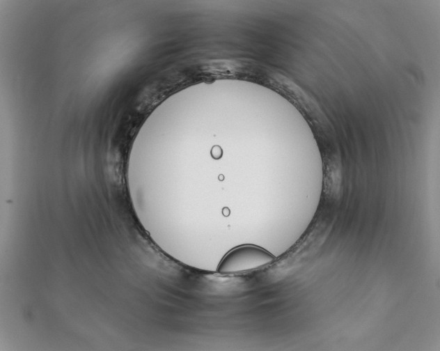 X0000112170477200908281343