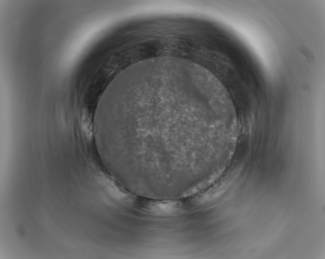 X0000112170479200908281343