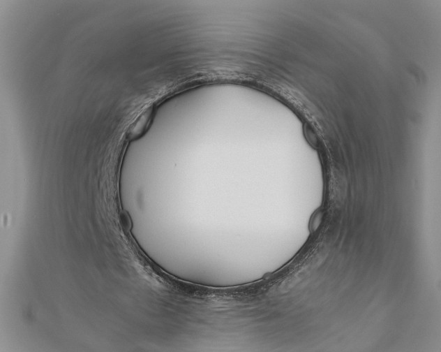 X0000112170481200908281342