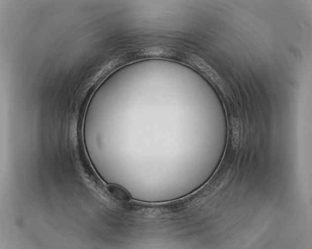 X0000112170482200908281342