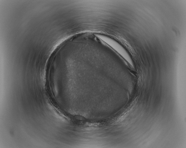 X0000112170484200908281342