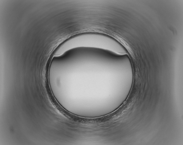 X0000112170485200908281342