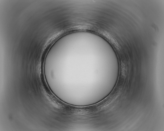 X0000112170486200908281342