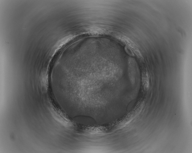 X0000112170488200908281342