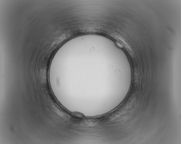 X0000112170489200908281342