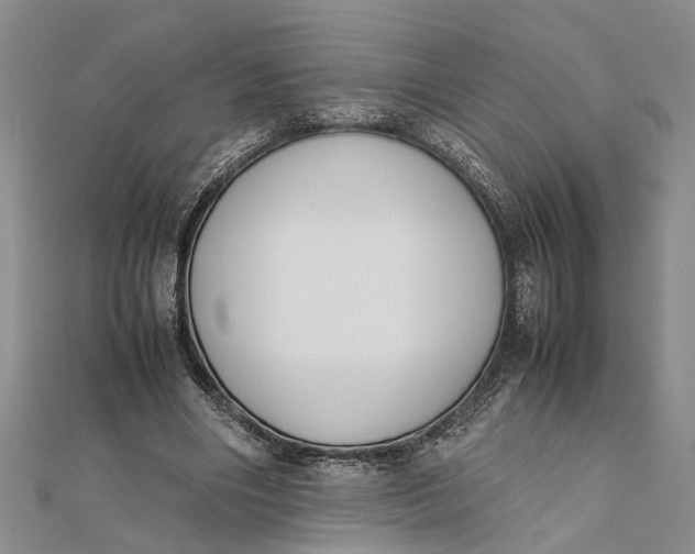 X0000112170490200908281342