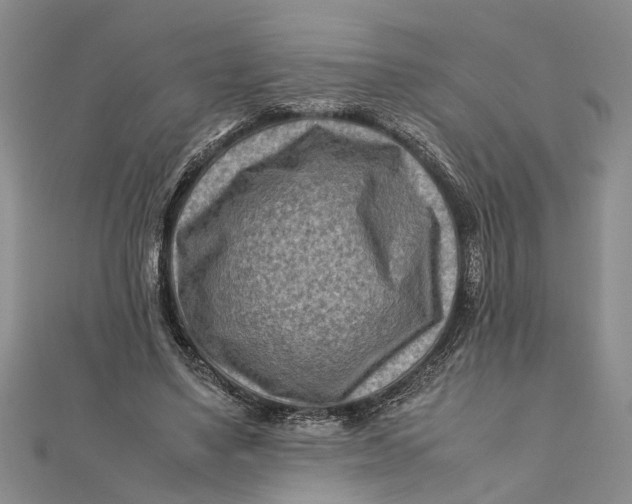 X0000112170491200908281342