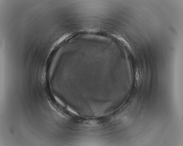 X0000112170492200908281342