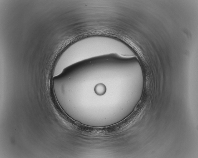 X0000112170493200908281342