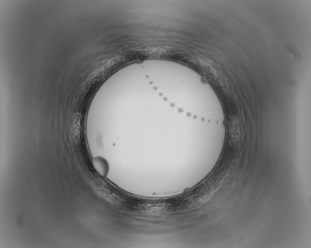 X0000112170495200908281342