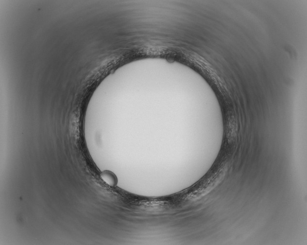 X0000112170497200908281342