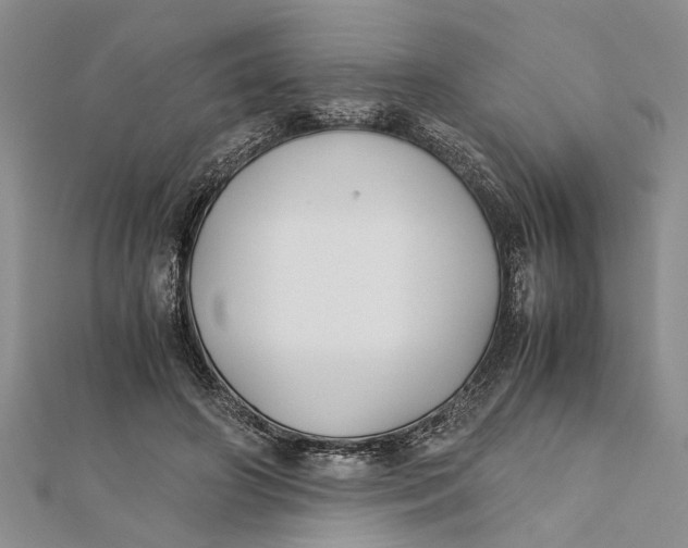 X0000112170498200908281342