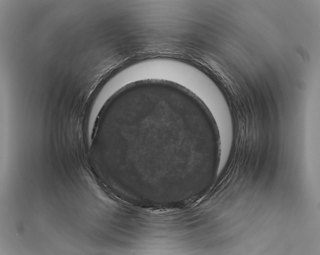 X0000112170500200908281342