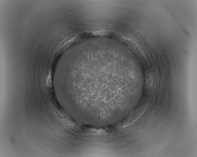 X0000112170502200908281342