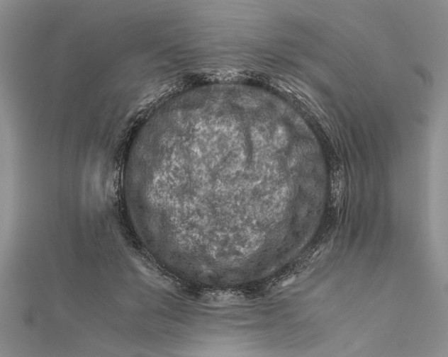 X0000112170503200908281342