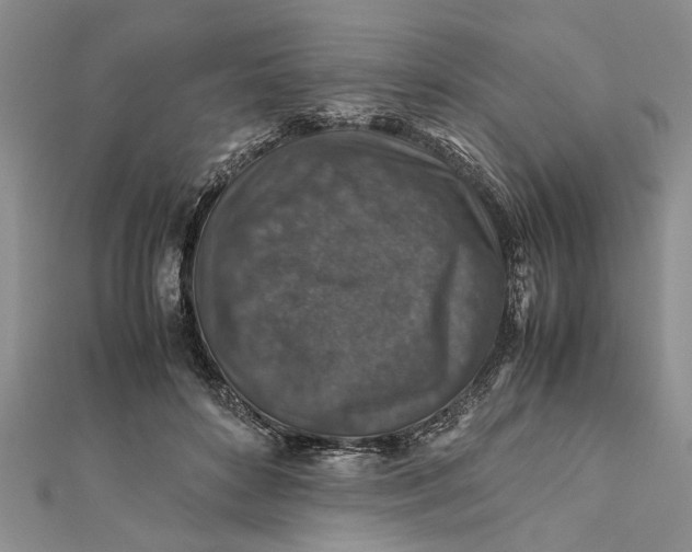 X0000112170504200908281342