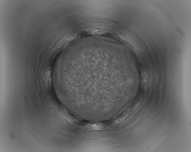 X0000112170506200908281342