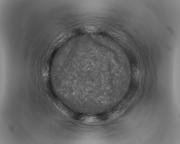 X0000112170507200908281342