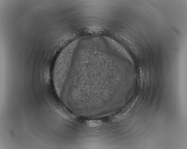 X0000112170508200908281342