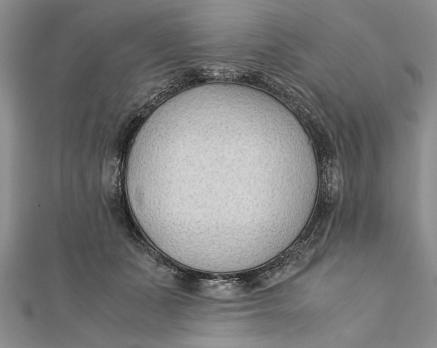 X0000112170511200908281342