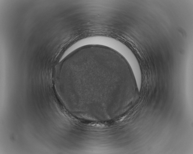 X0000112170512200908281342