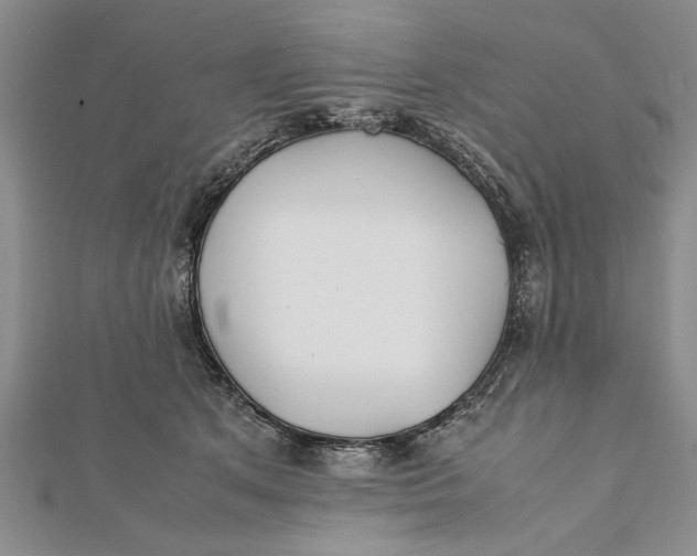 X0000112170513200908281342