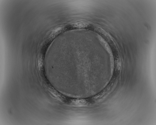 X0000112170517200908281342