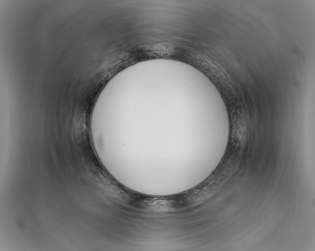 X0000112170518200908281342