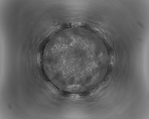 X0000112170519200908281342