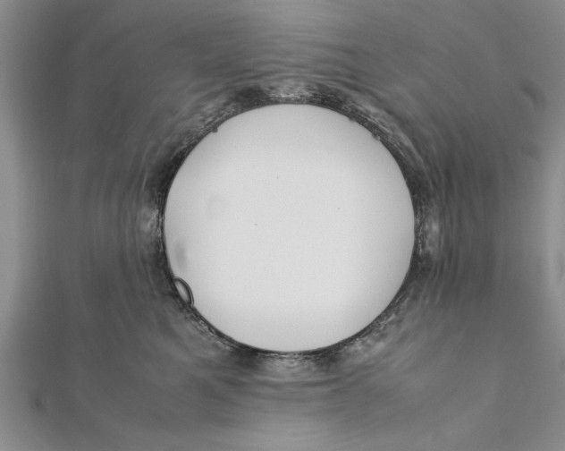 X0000112170521200908281342