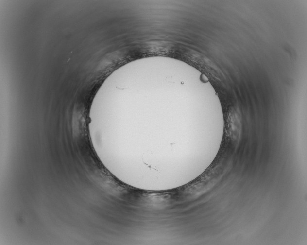 X0000112170522200908281342