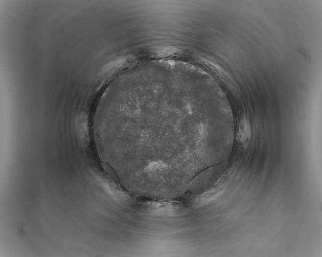 X0000112170524200908281342