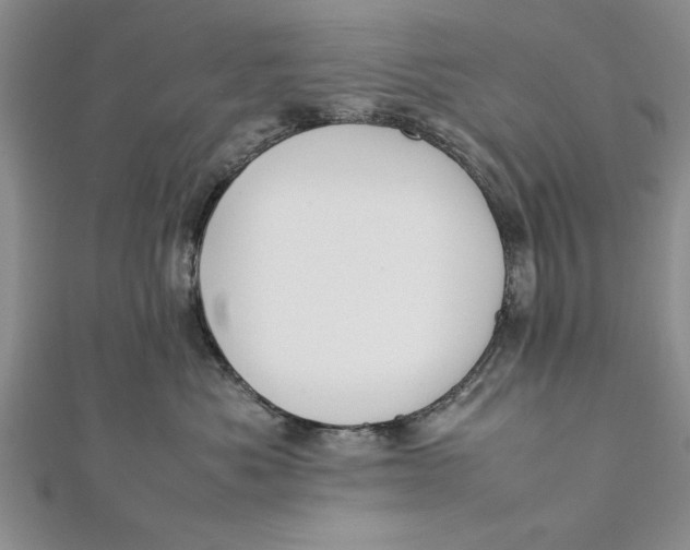 X0000112170525200908281342